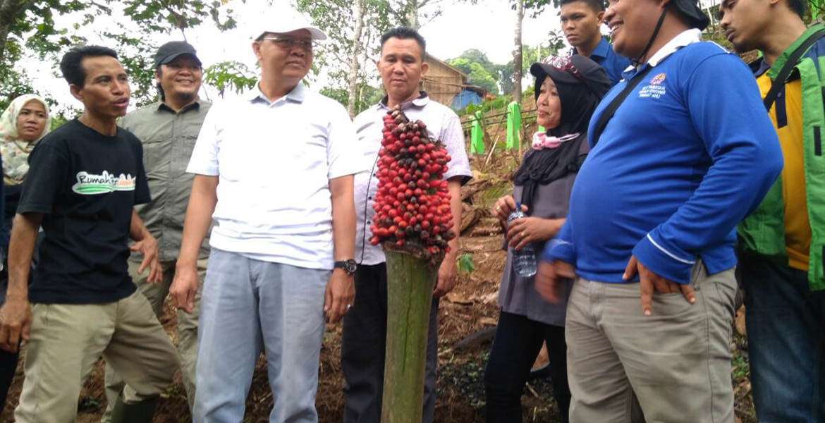 Plt Gubernur saat mengunjungi Habitat Rafflesia di Kawasan Cagar Alam Taba Penanjung Bengkulu Tengah 
