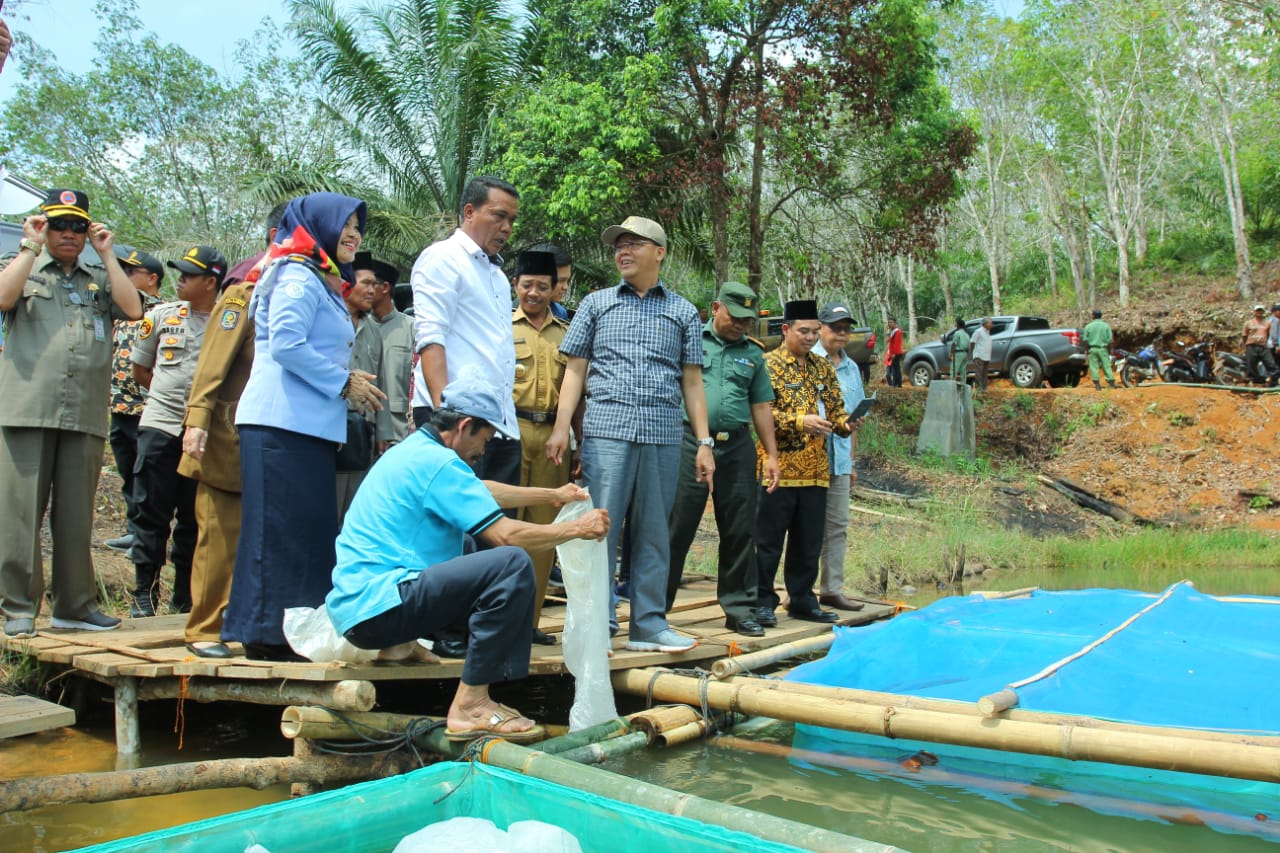 Pemerintahan