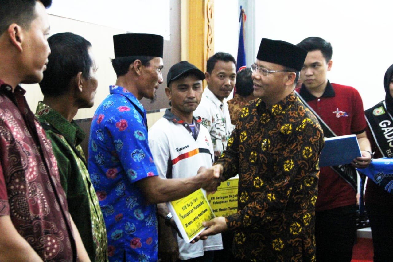 Pemerintahan