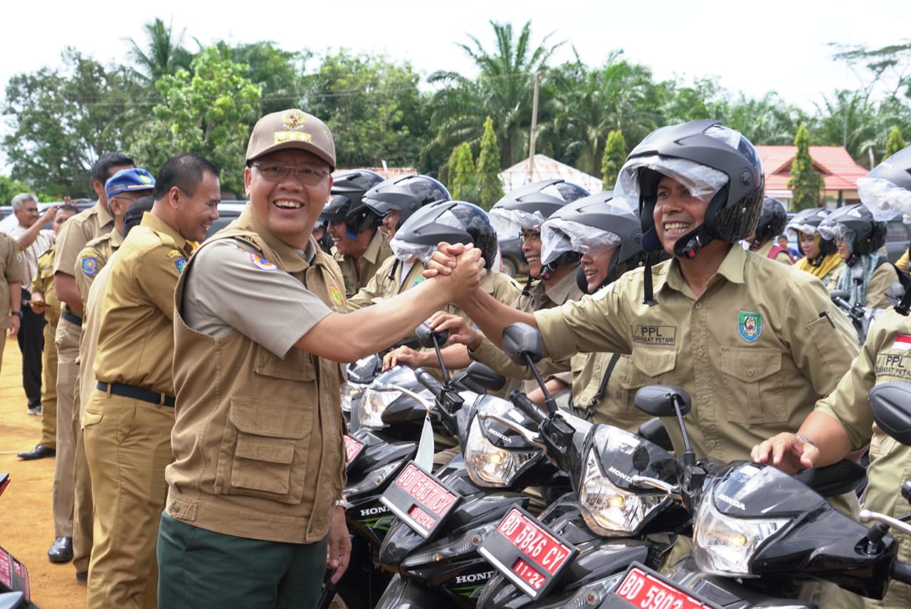 Pemerintahan