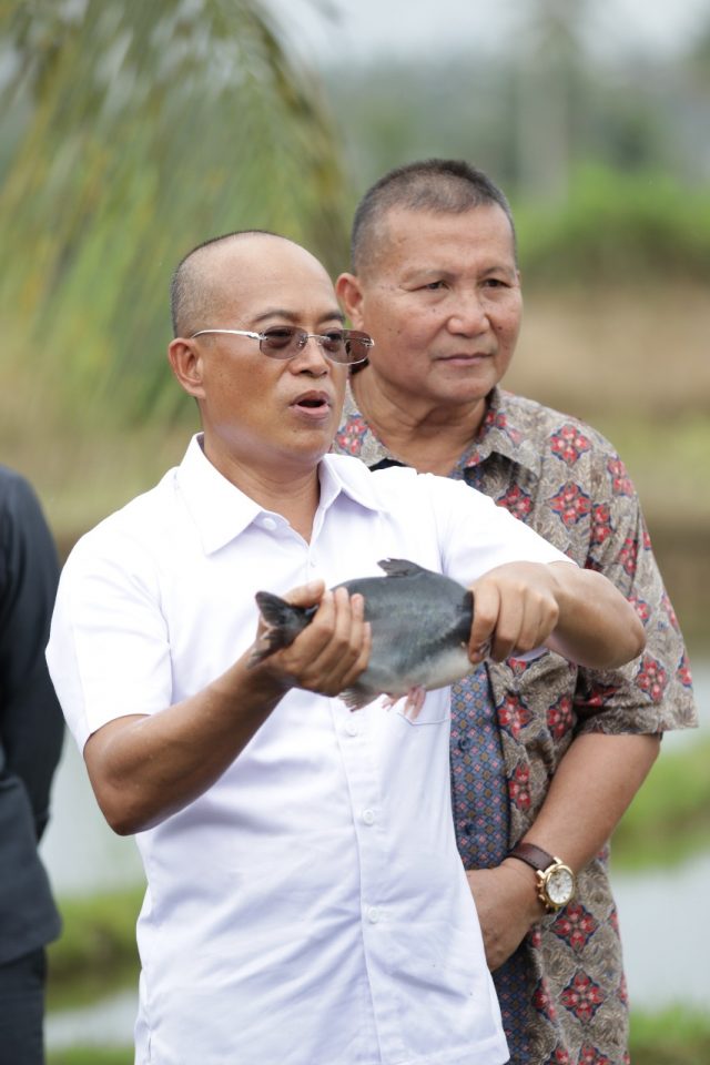 Daerah