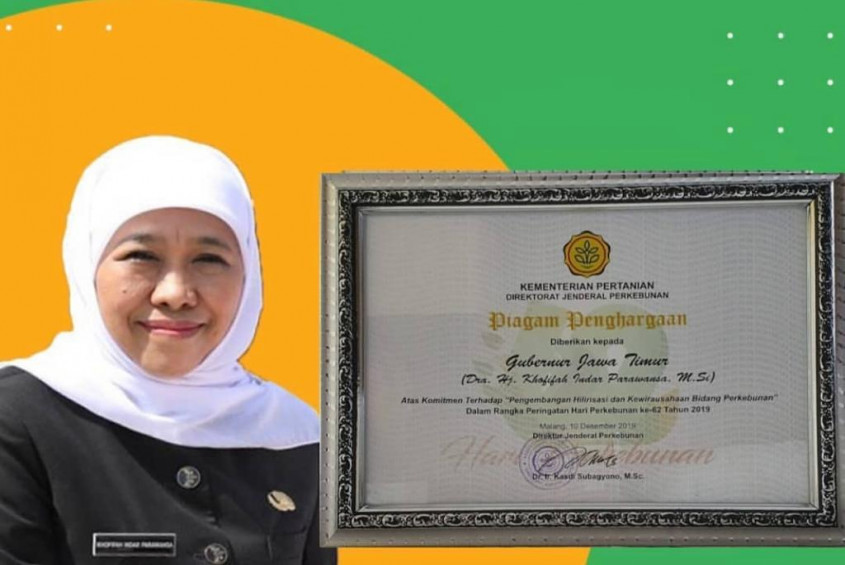Pemerintahan