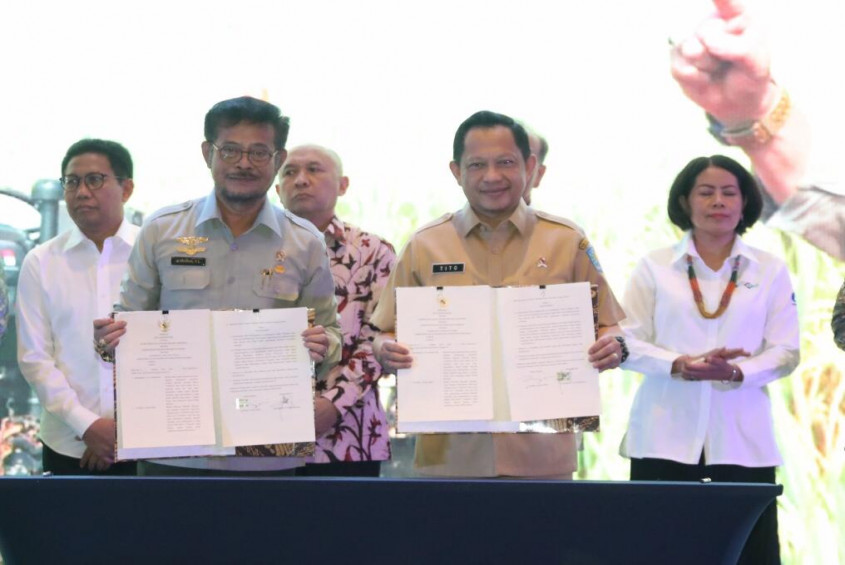 Pemerintahan