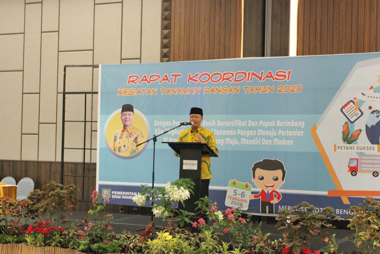 Pemerintahan