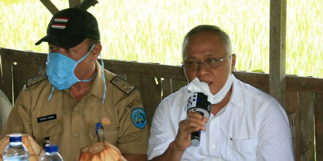 Pemkot bengkulu
