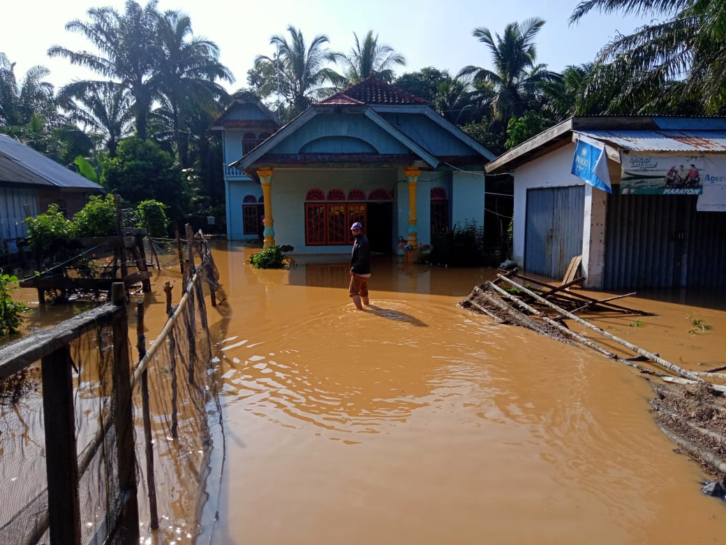 Pemerintahan
