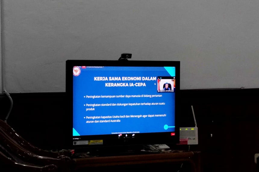Pemerintahan