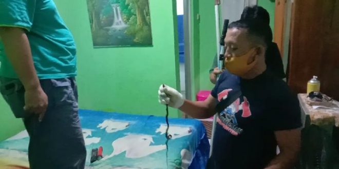 Pemkot bengkulu