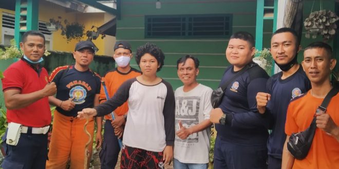 Pemkot bengkulu
