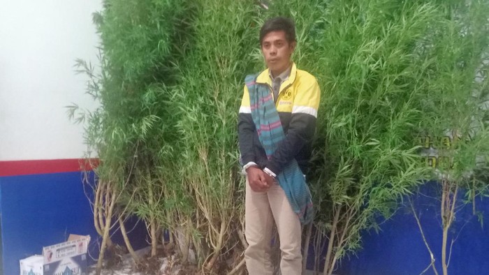 Hukum