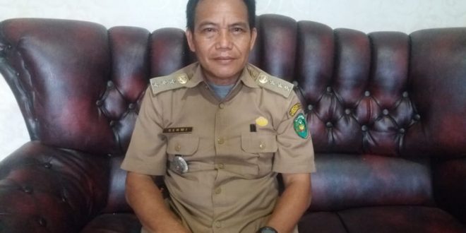 Pemkot bengkulu