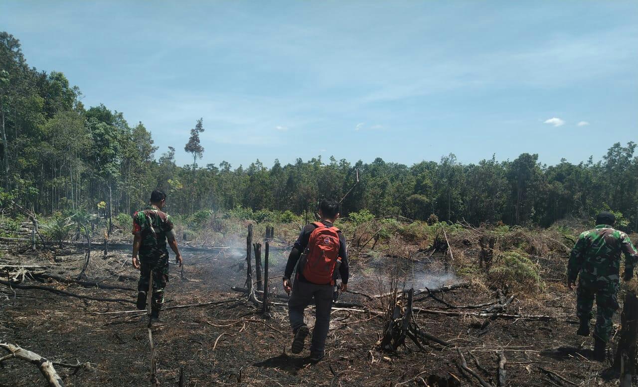 Nasional