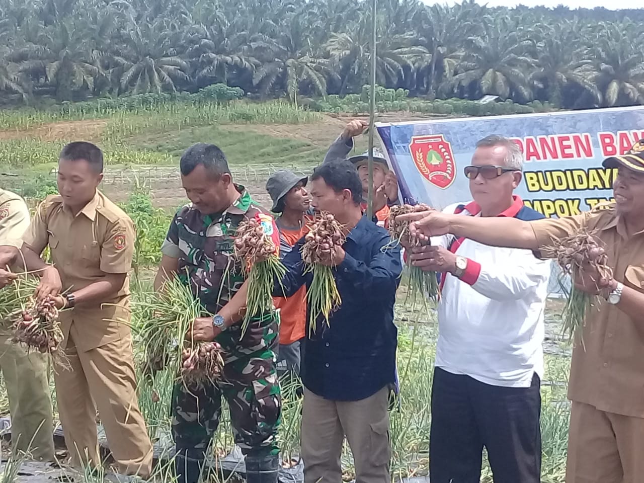 Nasional