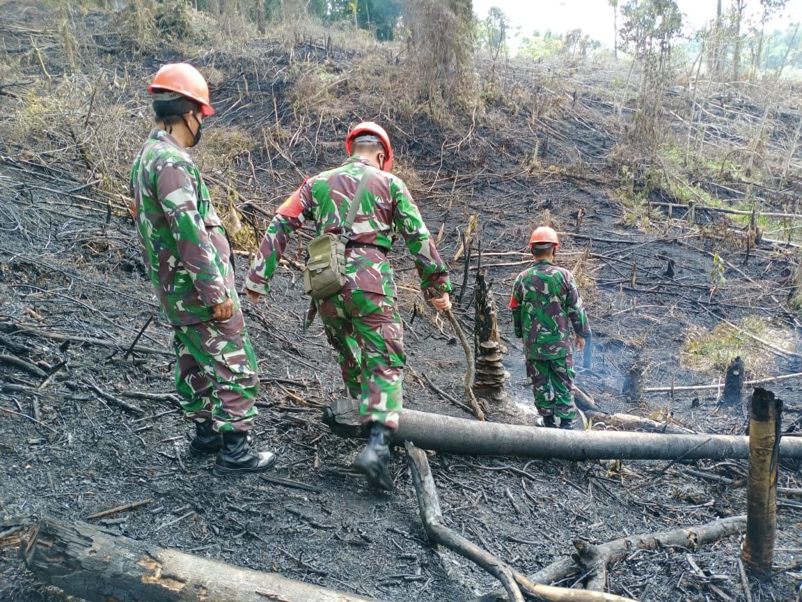 Nasional
