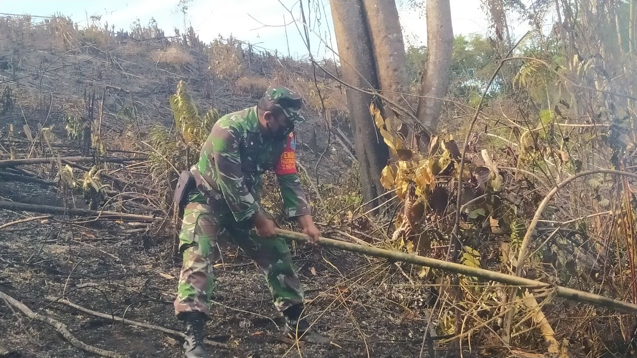 TNI