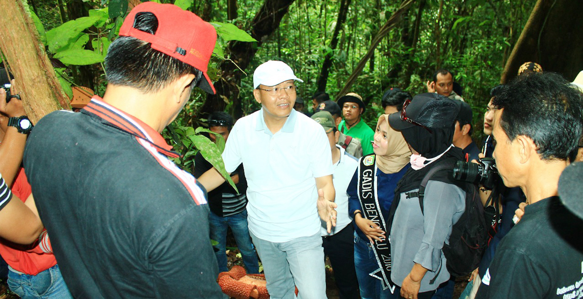 Plt Gubernur saat mengunjungi Habitat Rafflesia di Kawasan Cagar Alam Taba Penanjung Bengkulu Tengah 