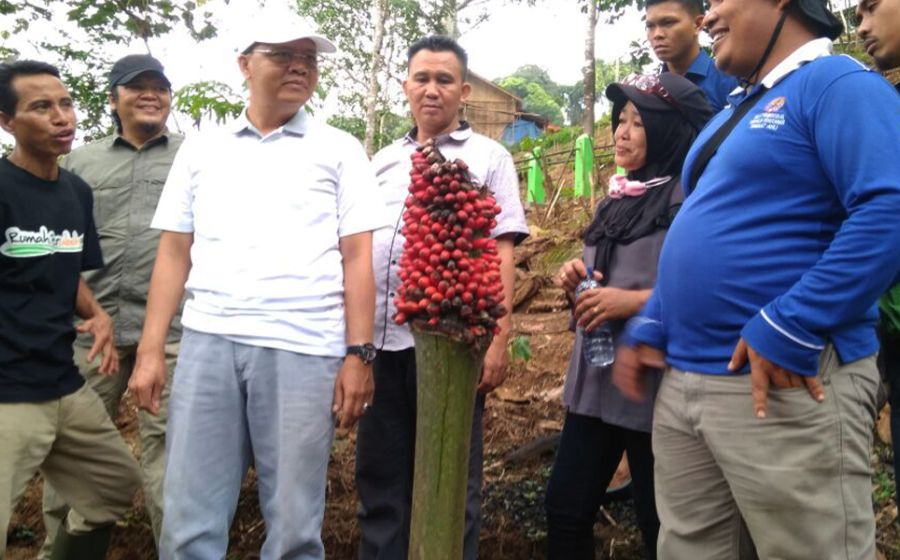 Plt Gubernur saat mengunjungi Habitat Rafflesia di Kawasan Cagar Alam Taba Penanjung Bengkulu Tengah 