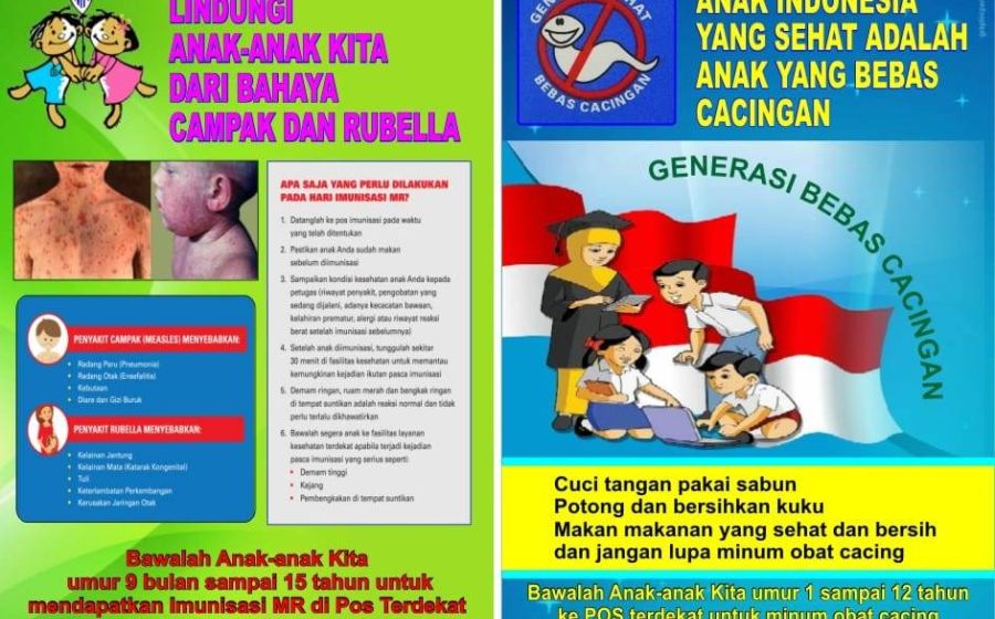 Pemerintahan