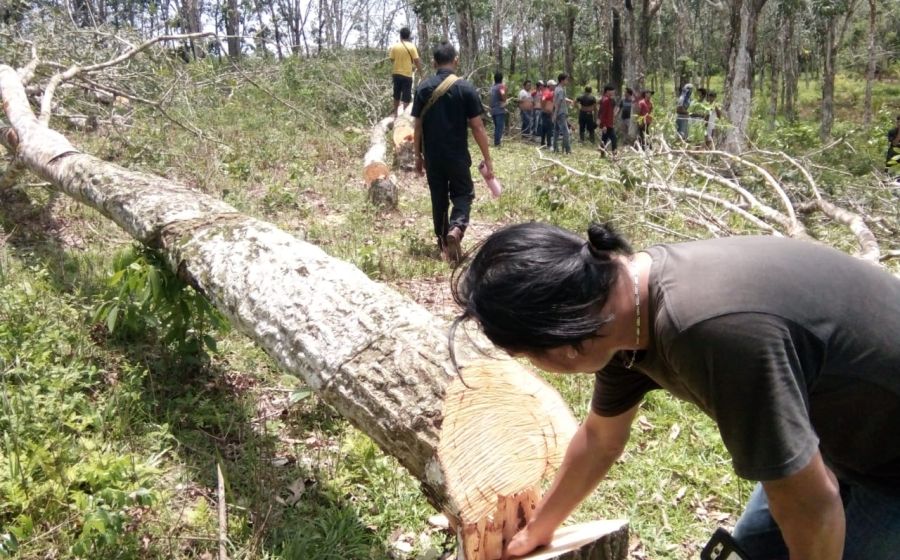 Febi Febriansyah saat melakukan kroscek bersama massa SELUMA