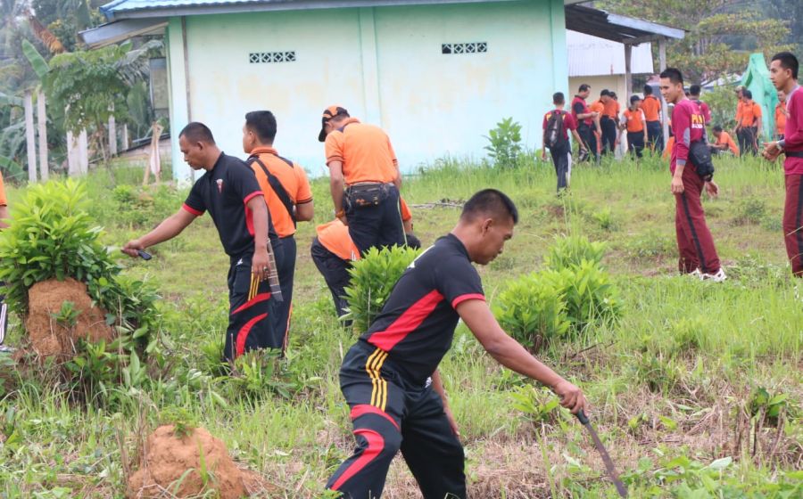 Daerah