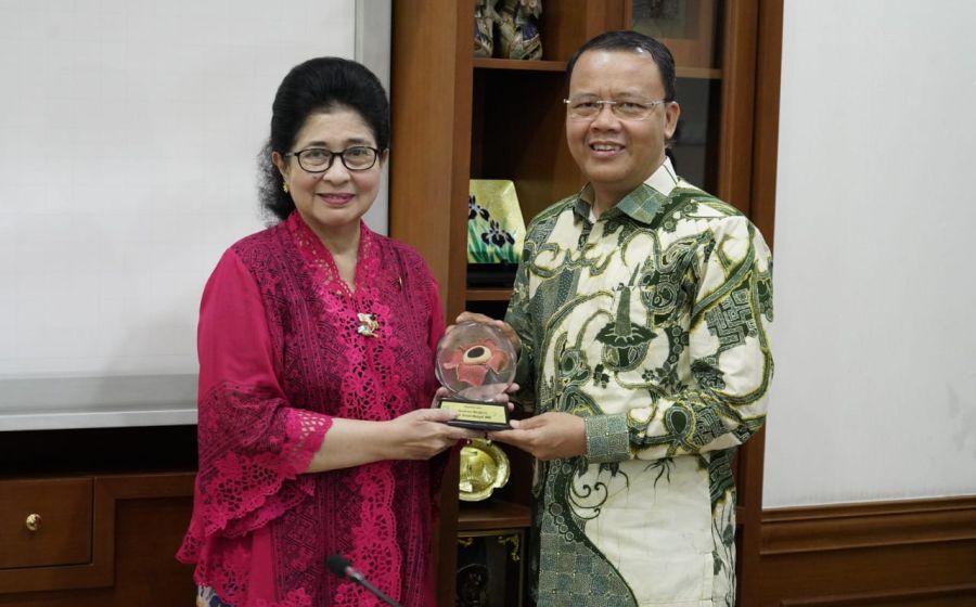 Pemerintahan