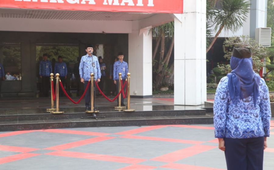 Pemerintahan
