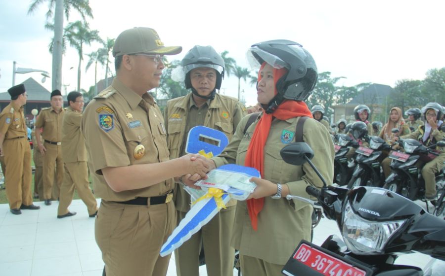 Pemerintahan
