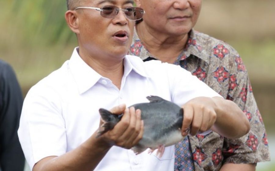 Daerah