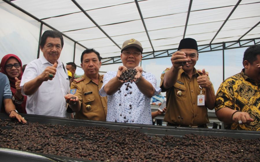 Pemerintahan
