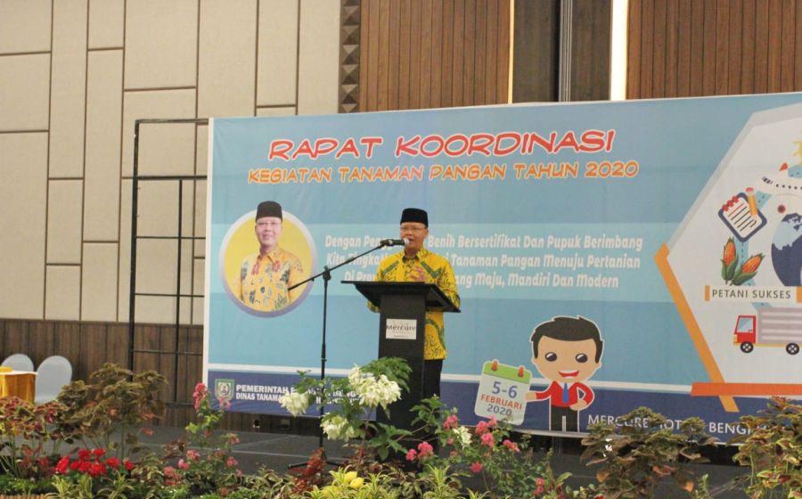 Pemerintahan