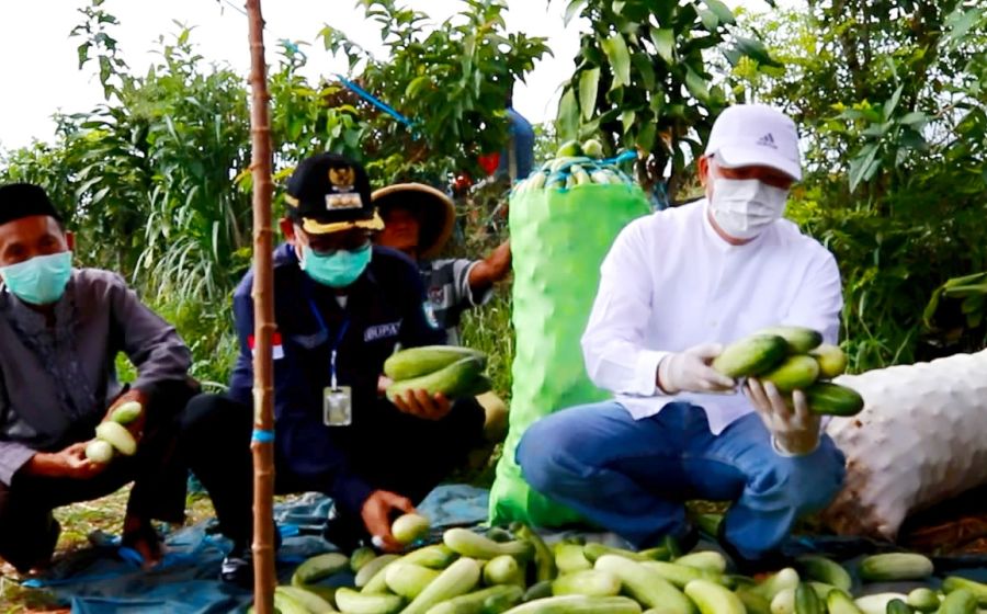 Pemerintahan