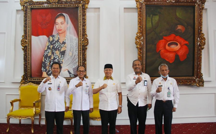 Pemerintahan