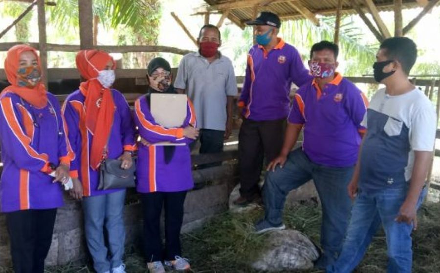 Pemkot bengkulu