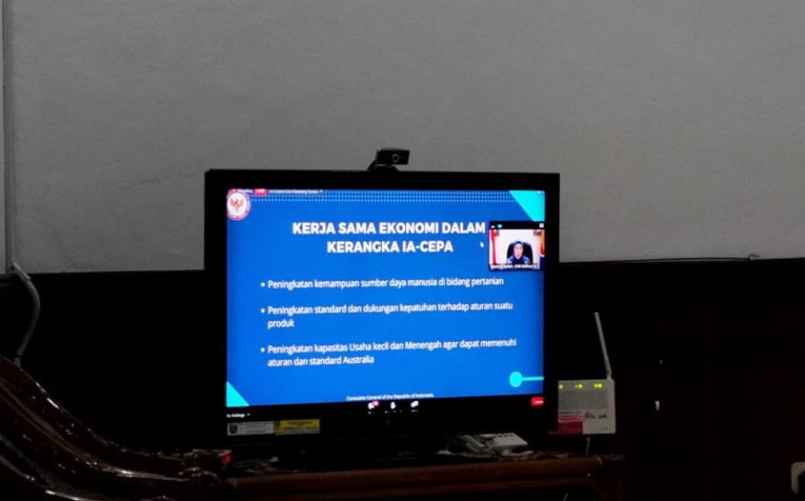 Pemerintahan