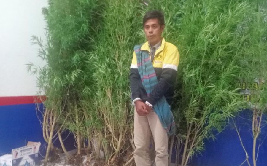 Hukum