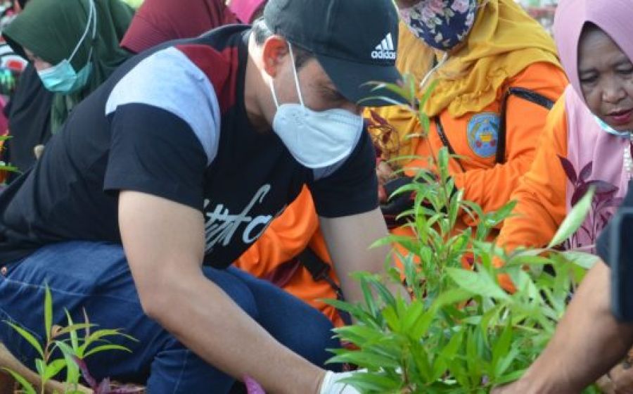 Pemkot bengkulu