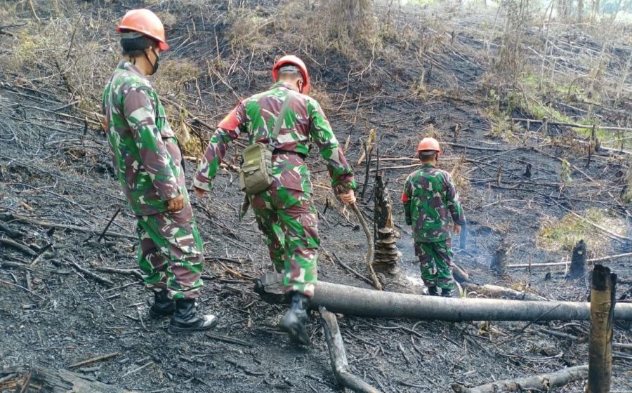 Nasional