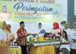 Pemerintahan
