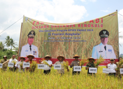 Pemerintahan
