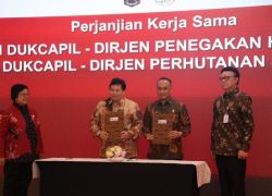 Nasional