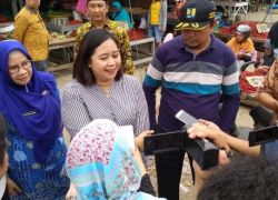 Pemkot bengkulu
