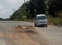 Pemerintahan