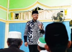 Pemerintahan