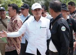 Daerah