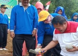 Daerah