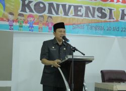 Pemerintahan