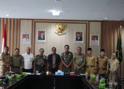 Pemerintahan