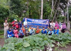 Daerah