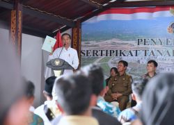 Pemerintahan