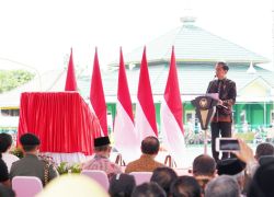 Pemerintahan